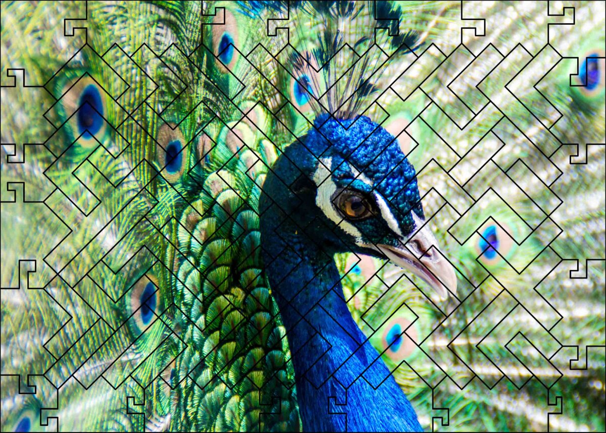 elbPUZZLE No. 57 - Tierwelten: Pfau - Fractale Edition