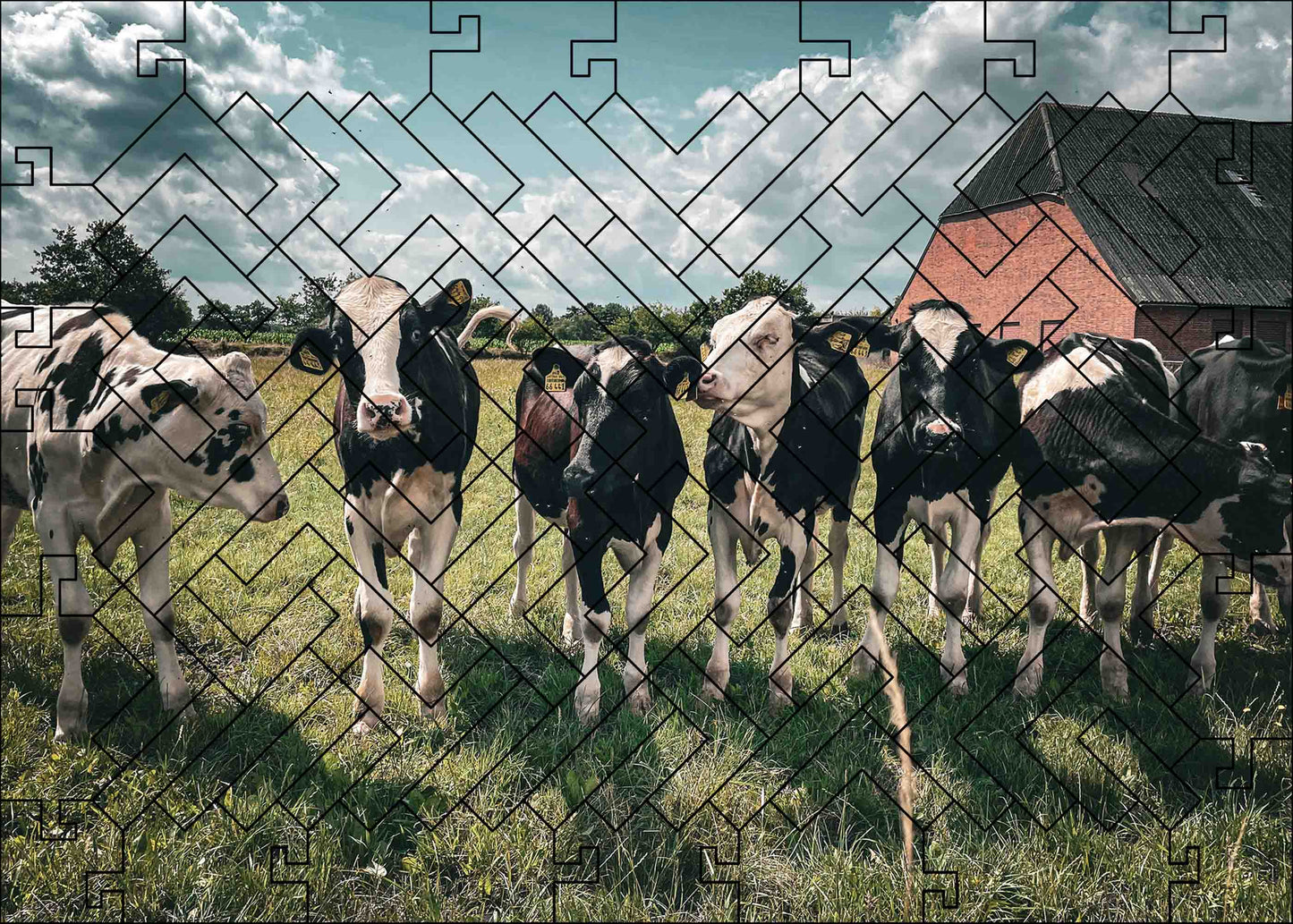 elbPUZZLE No. 30 - Animal Worlds: Cows